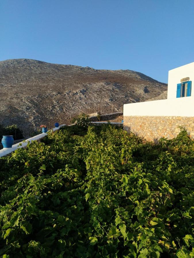 Cycladic Houses In Rural Surrounding Amorgos Exterior foto